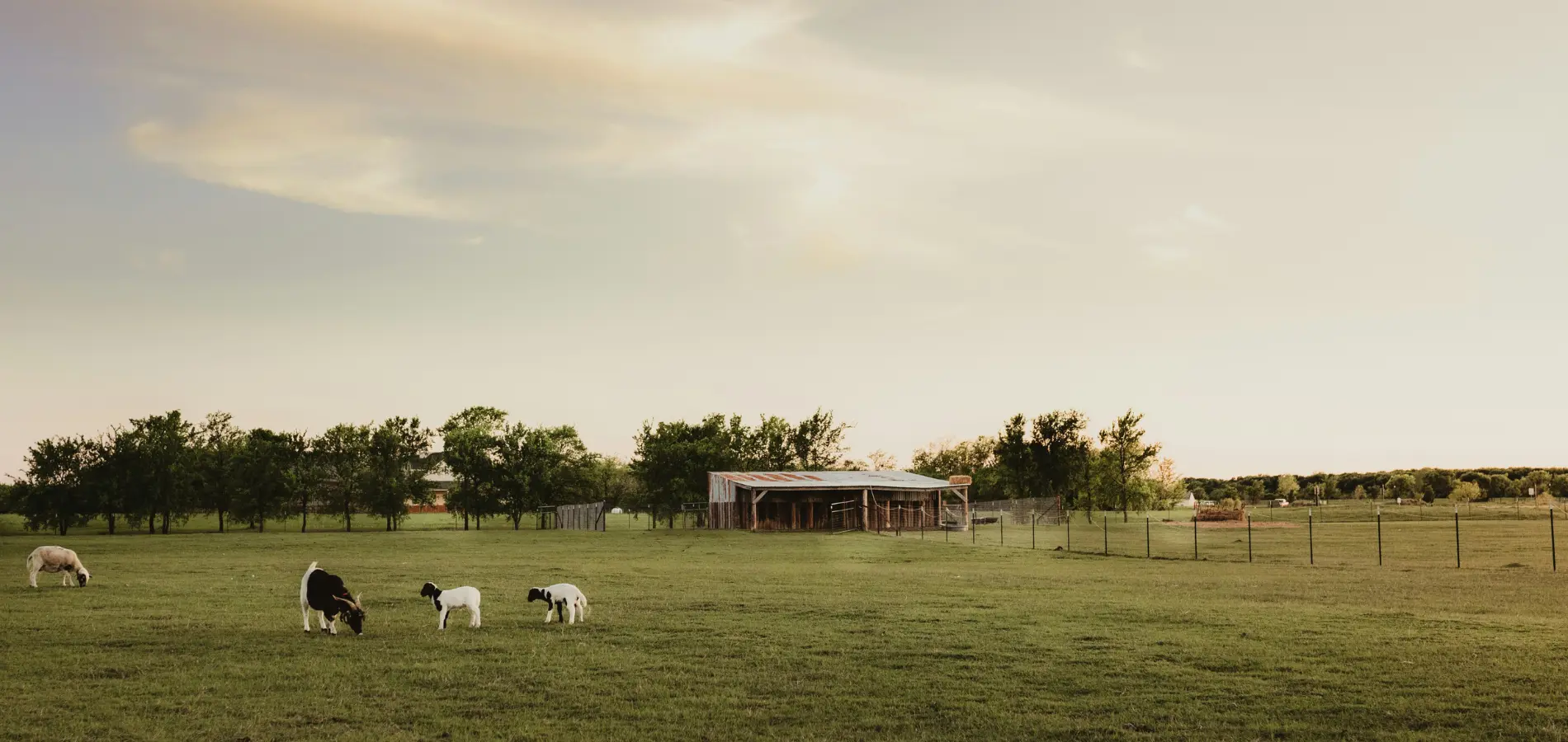 Empréstimo com garantia de imóvel rural: tudo que precisa saber