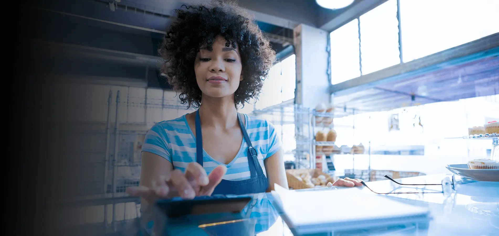 Onde investir meu dinheiro? Guia do investidor iniciante