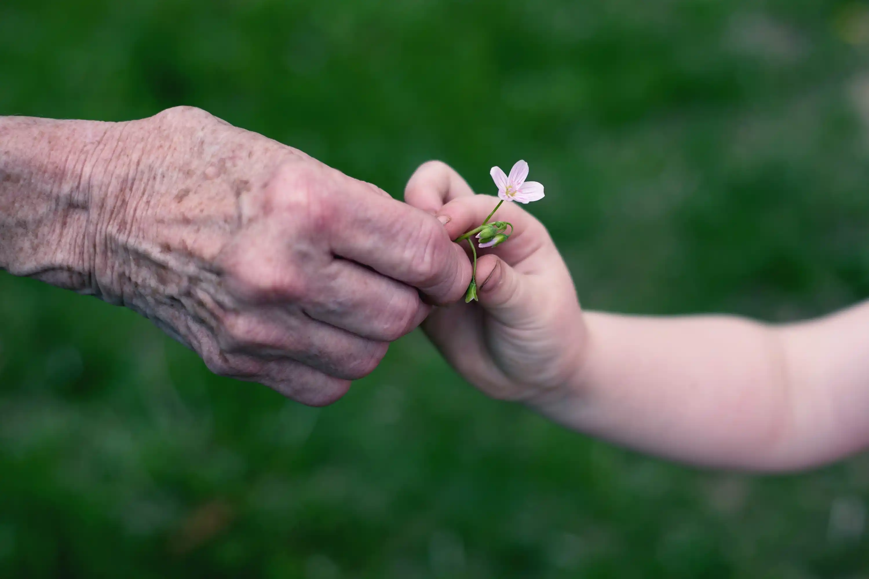 Planejamento sucessório: o que é e por que fazer?